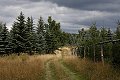 Farský les mezi Rusovou a Výsluním